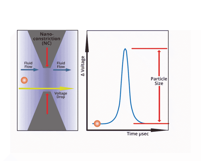 microfluidic resistive pulse sensing