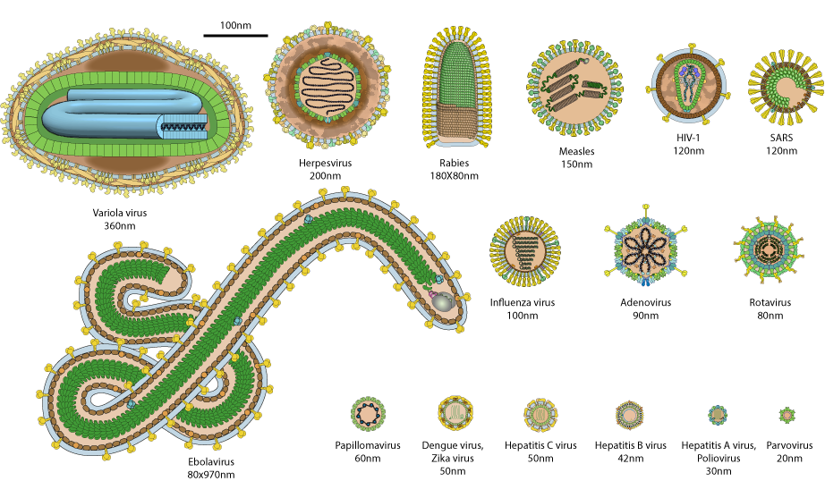 Virology Spectradyne